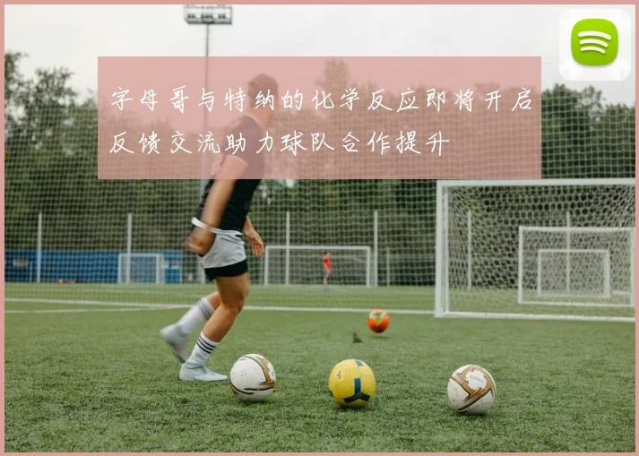 字母哥与特纳的化学反应即将开启反馈交流助力球队合作提升